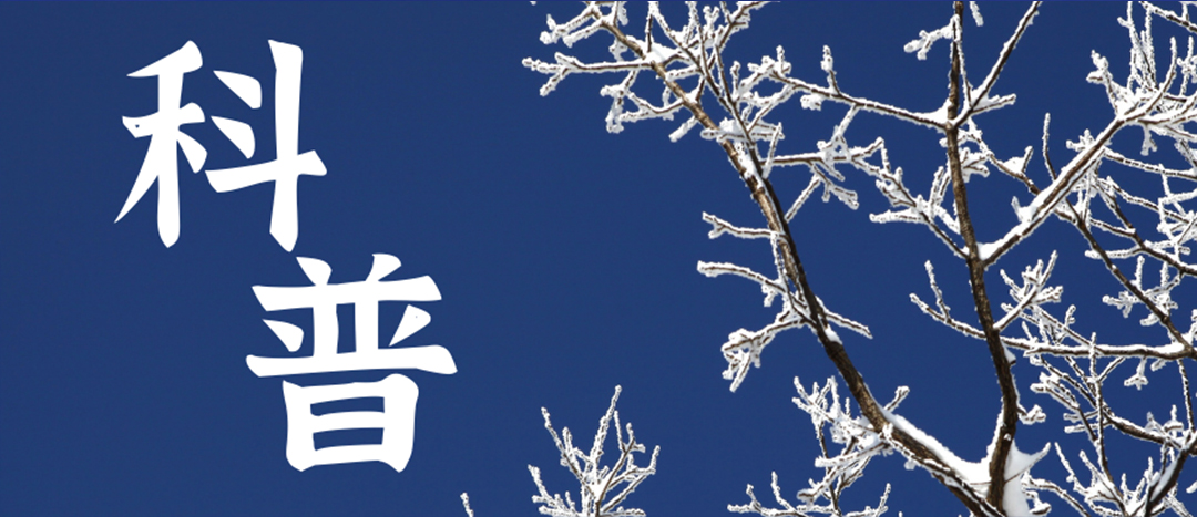 科普 | 冬季雨雪天氣?；愤\(yùn)輸車(chē)輛注意事項(xiàng)