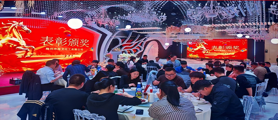 騏驥開道，奮進新篇 | 海龍化工2025年終工作總結表彰暨團年晚宴圓滿落幕